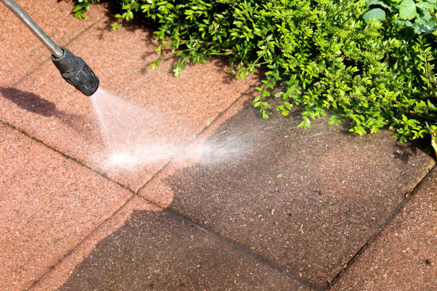 Best Fence Pressure Washing  in Dover, TN